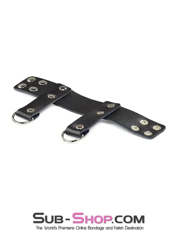 1937DL      Ball Stretcher Strap With Weight or Lead Rings, 1 3/8” - MEGA Deal