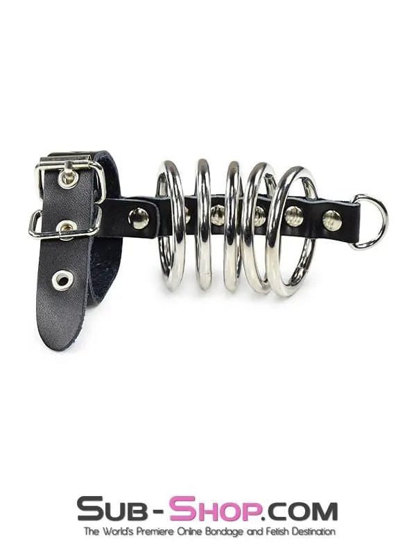 2229DL       Locking 5 Gates of Hell with Leather Cock Strap