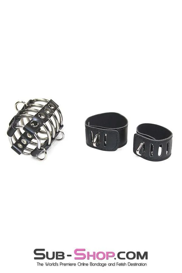 8726HS      Access Denied Locking Chastity Set, Large - MEGA Deal