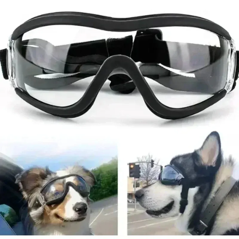 Active Dog Googles