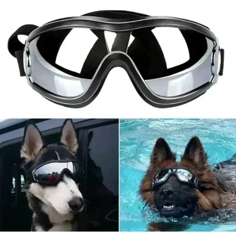 Active Dog Googles
