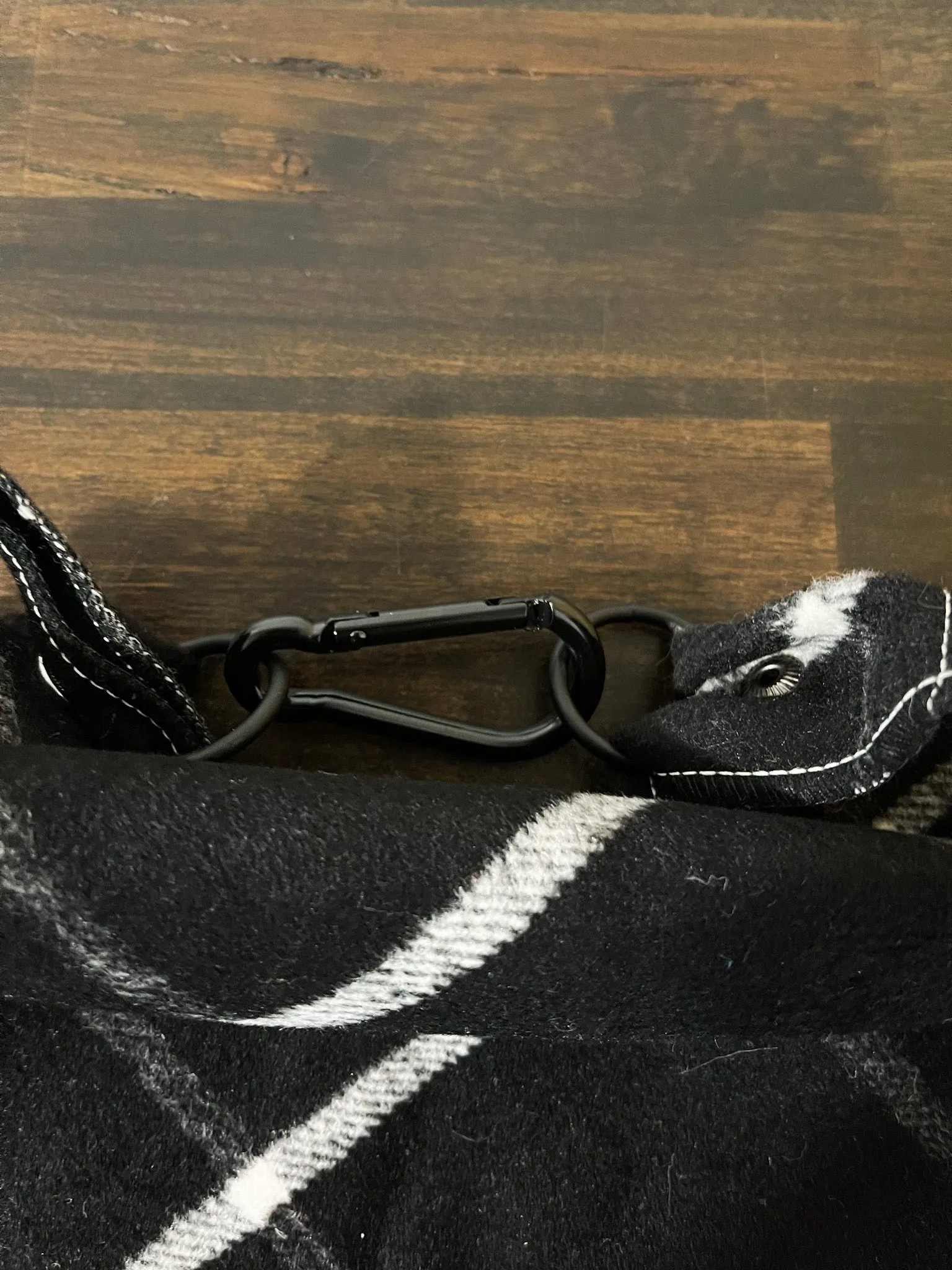 CALVIN - Adjustable Dog Bandana