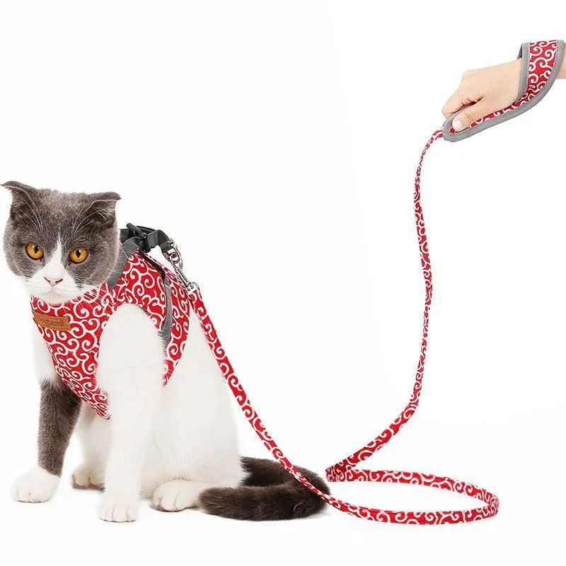 Cat Explorer Adventure Set