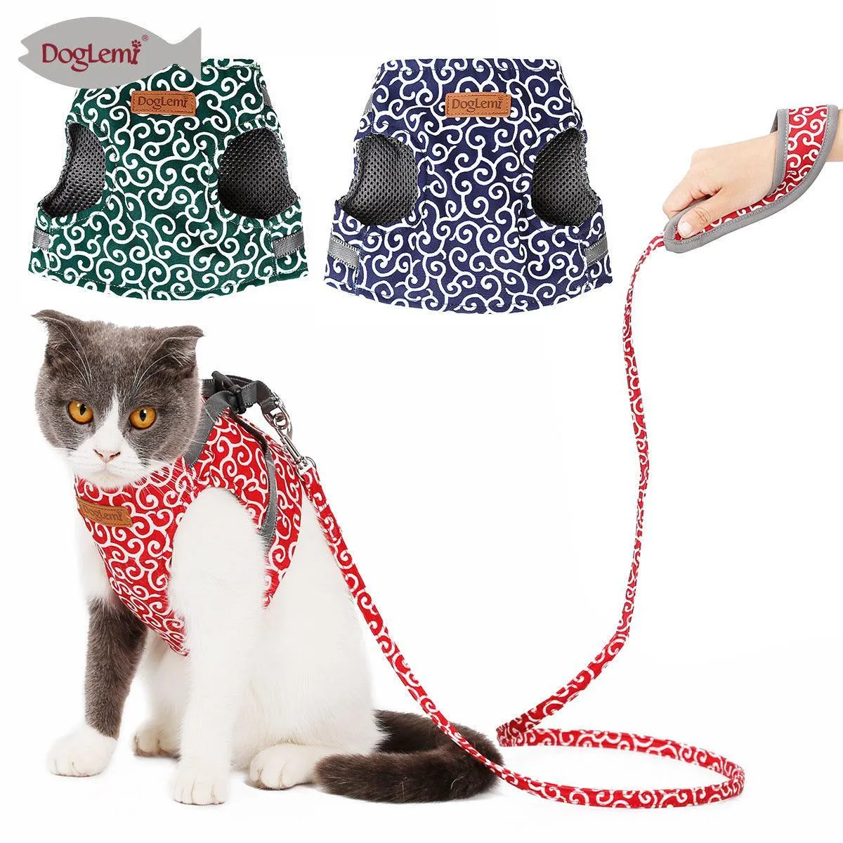 Cat Explorer Adventure Set