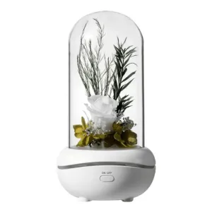 Everlasting Flower Aromatherapy Lamp