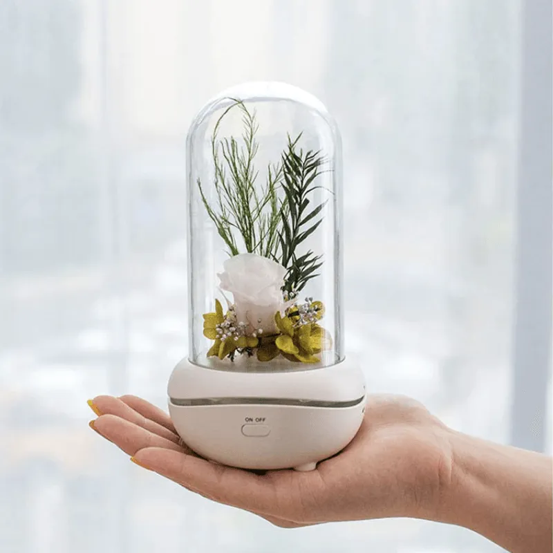 Everlasting Flower Aromatherapy Lamp