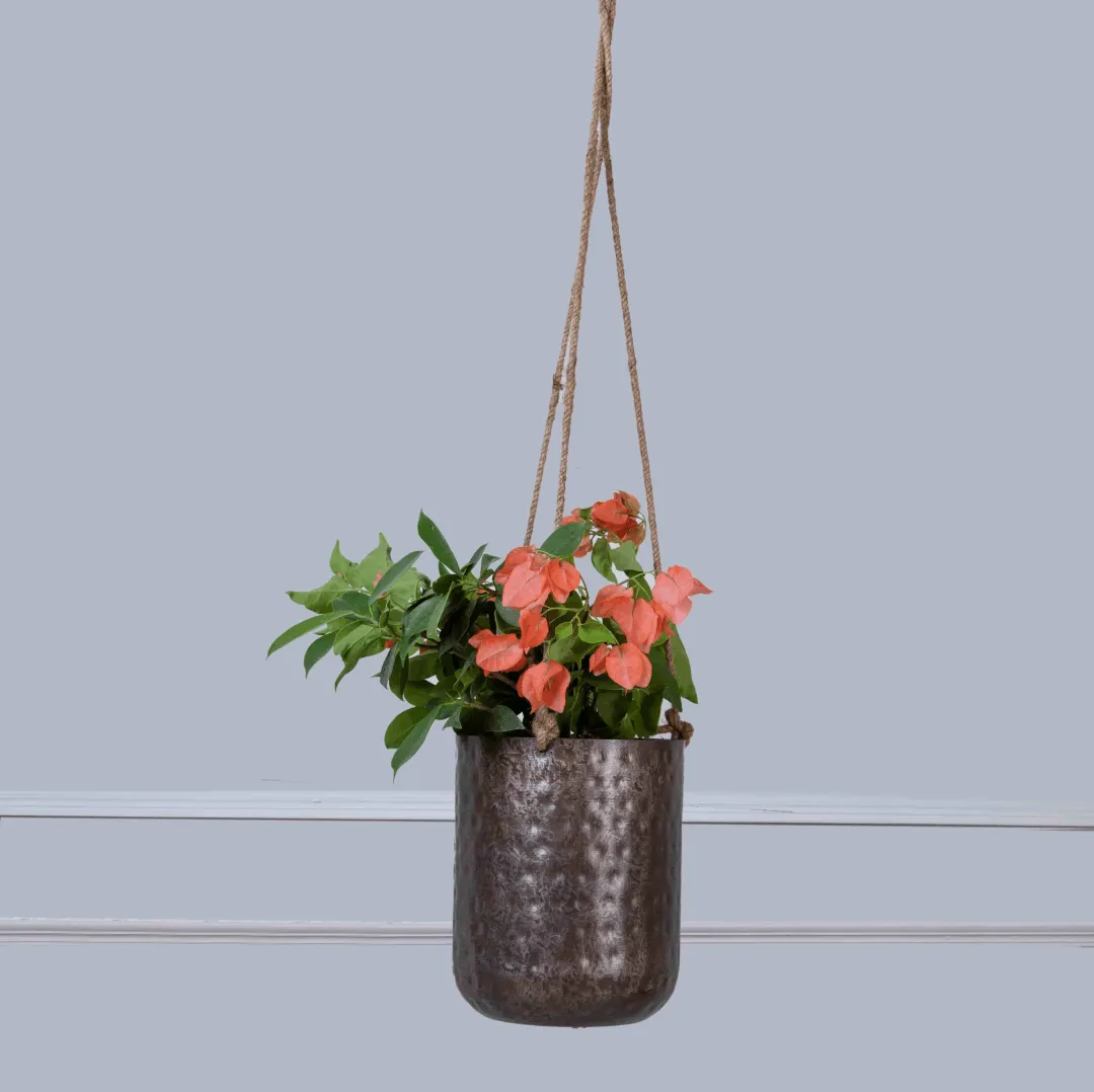 Hanging Antique Silver Planter Set
