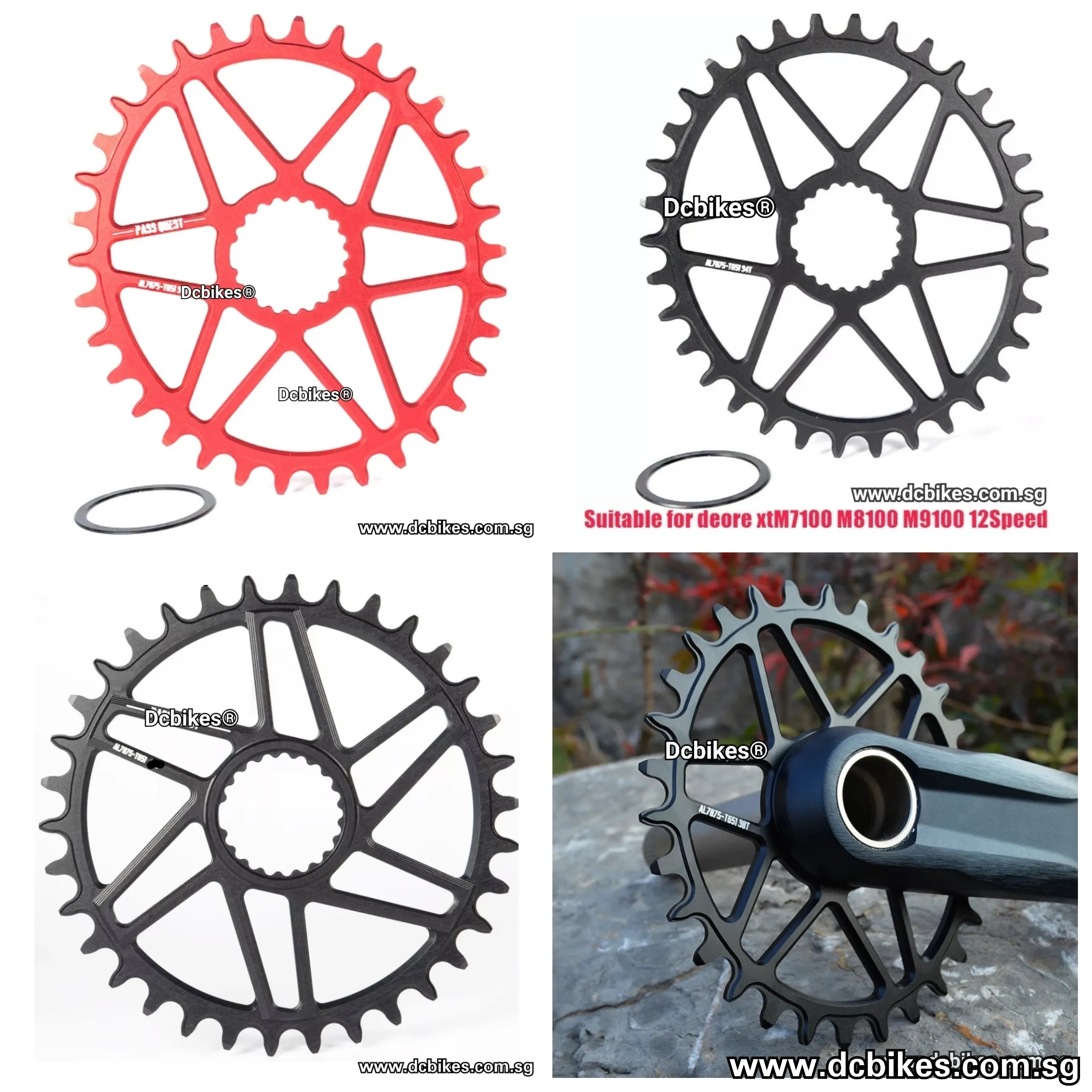 Oval | Round Chain Ring 12 Speed Shimano XTR XT SLX