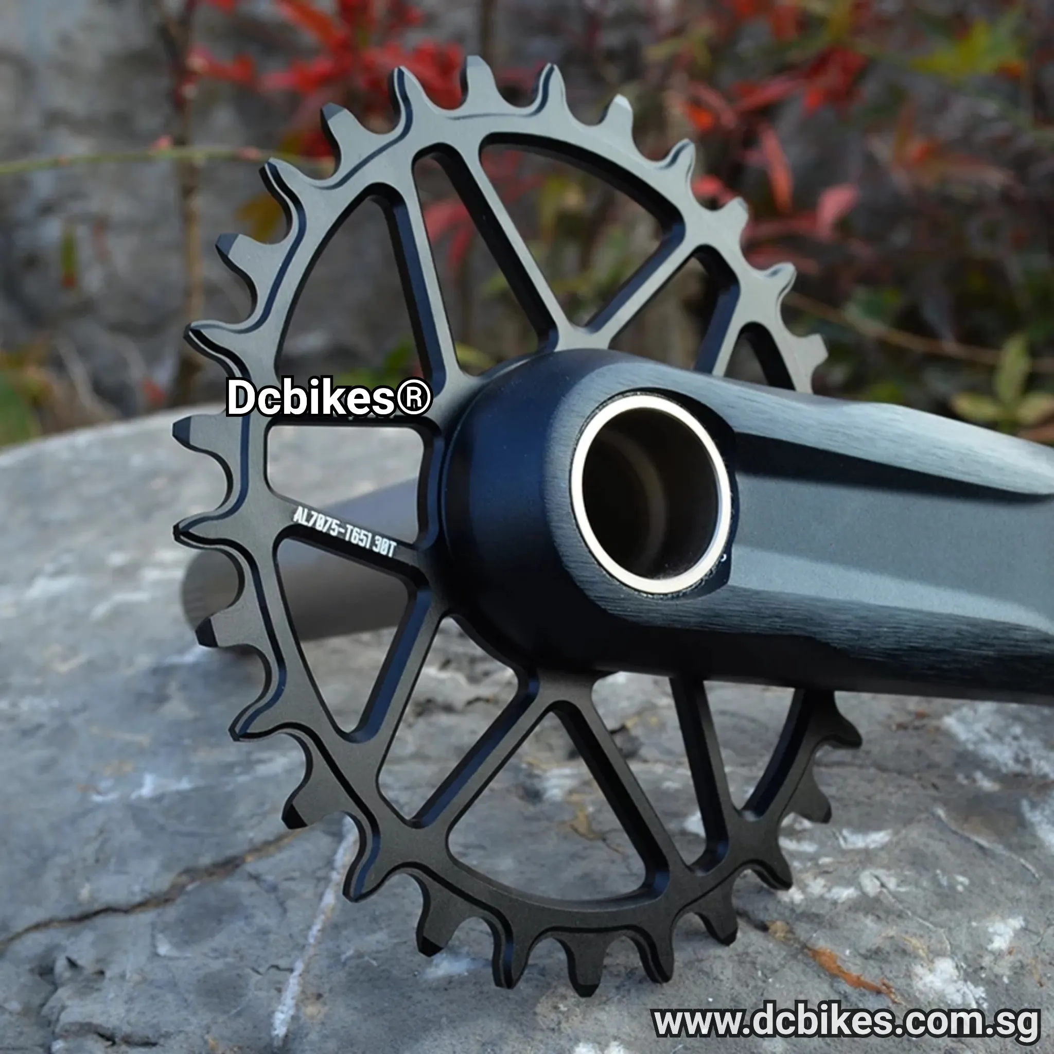 Oval | Round Chain Ring 12 Speed Shimano XTR XT SLX