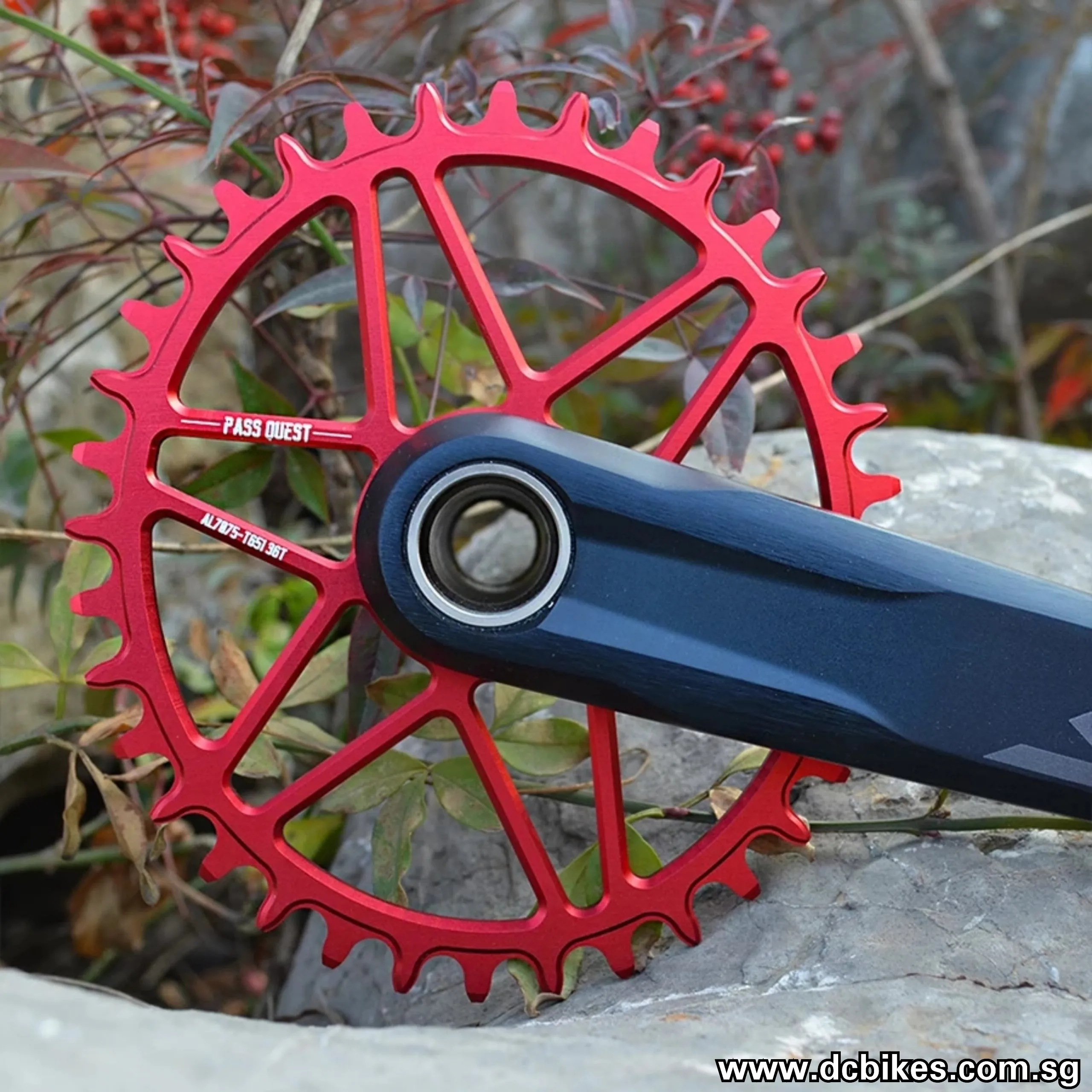 Oval | Round Chain Ring 12 Speed Shimano XTR XT SLX