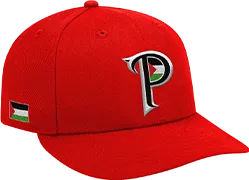 Palestine Baseball Active Cap