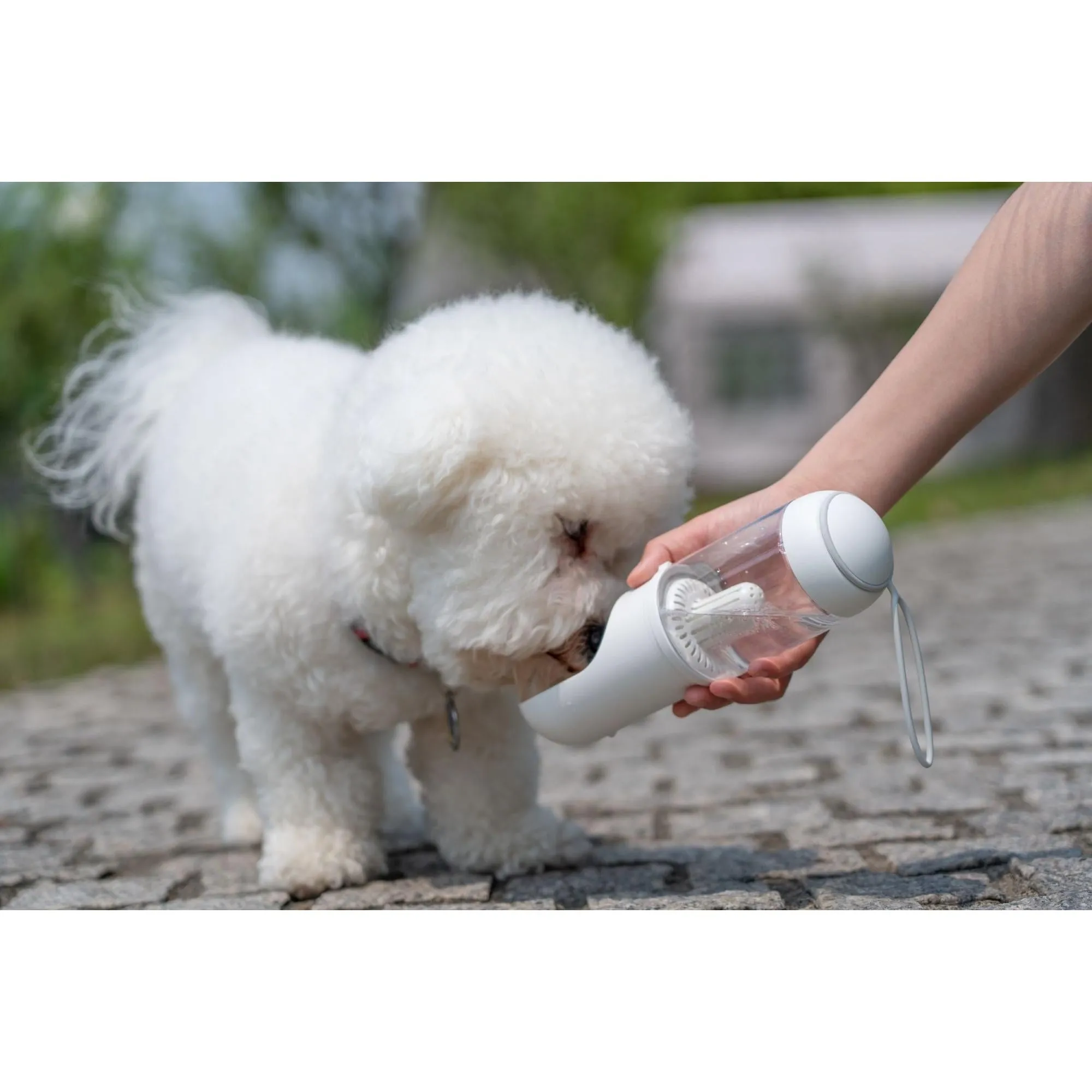 Portable Travel Water Feeder Explorer