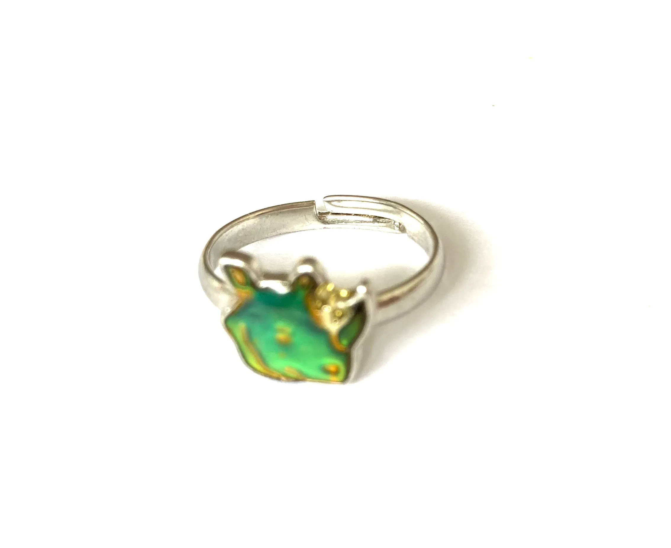 Rhino Mood Ring