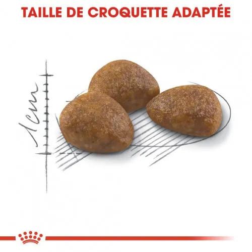 Royal Canin Outdoor 7 