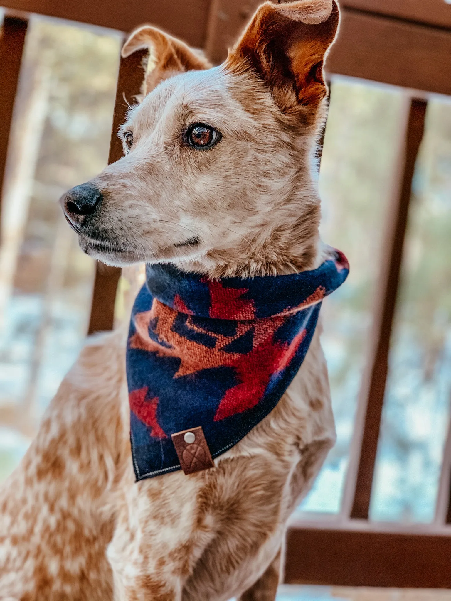 SEDONA - Adjustable Dog Bandana