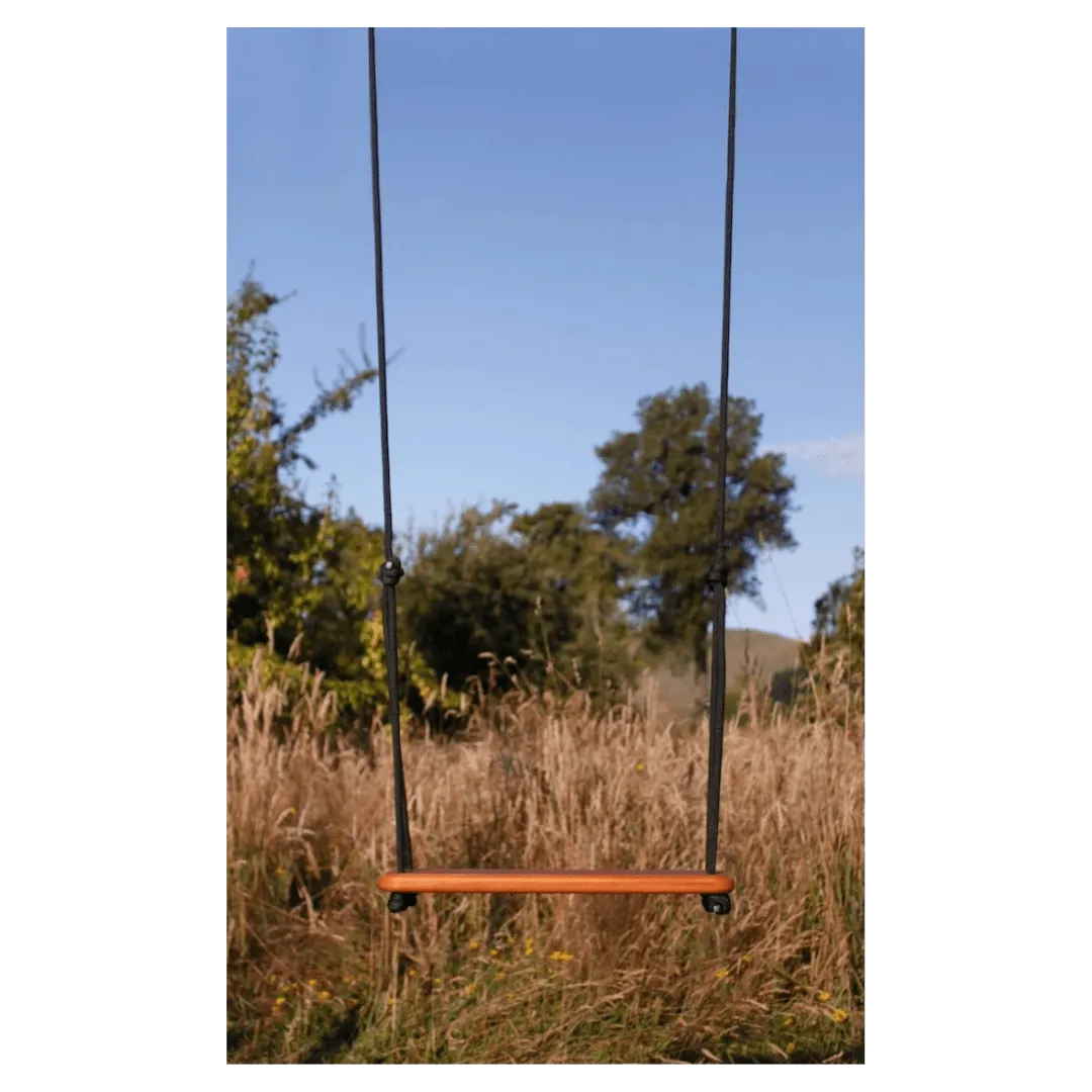 Traditional Board Swing - Black Rope