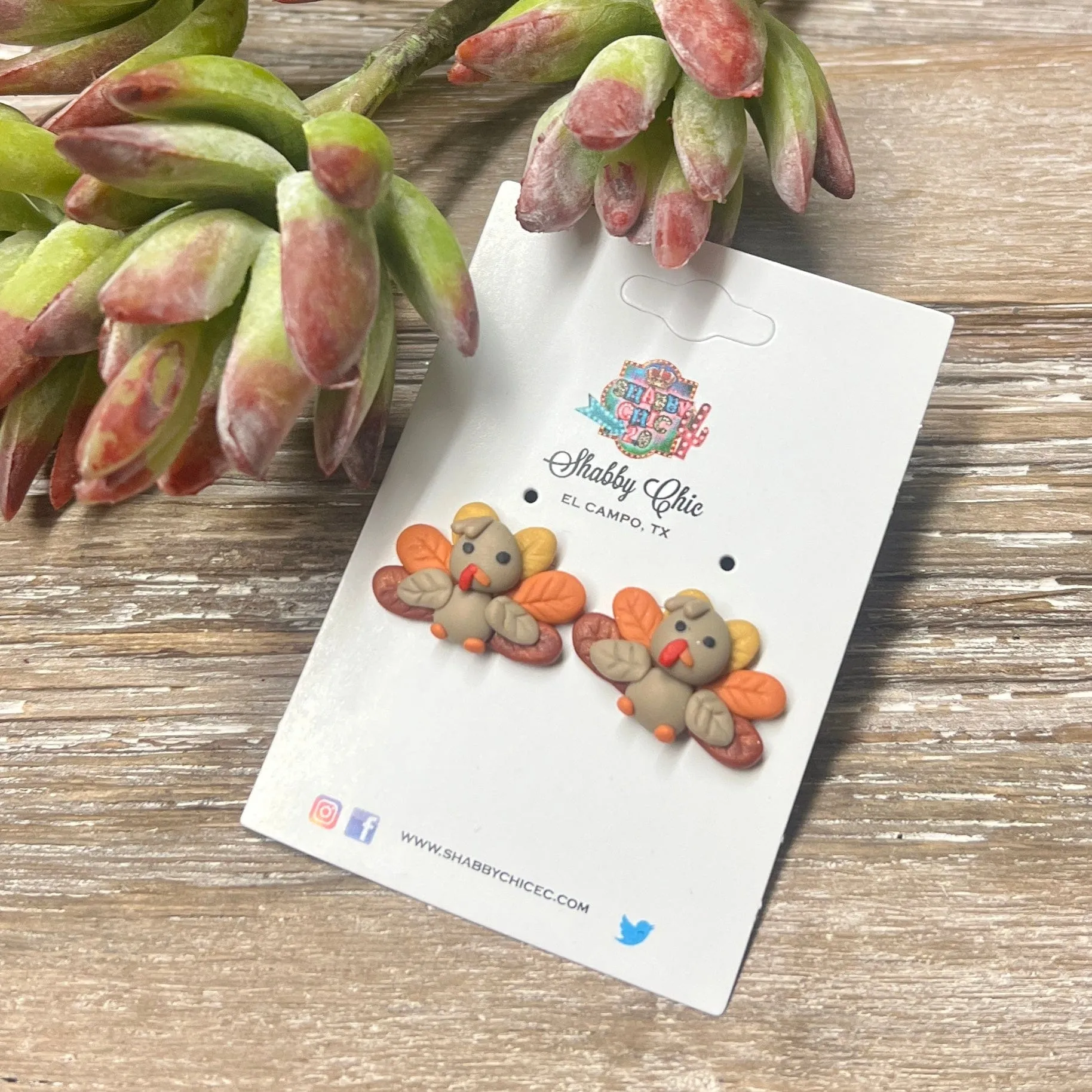 Turkey Clay Earrings
