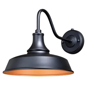 Vaxcel Dorado Metal Outdoor 9 Inch Wall Light! minimizes upward glare preventing light pollution making it a logical solution to eco-conscious home owners!